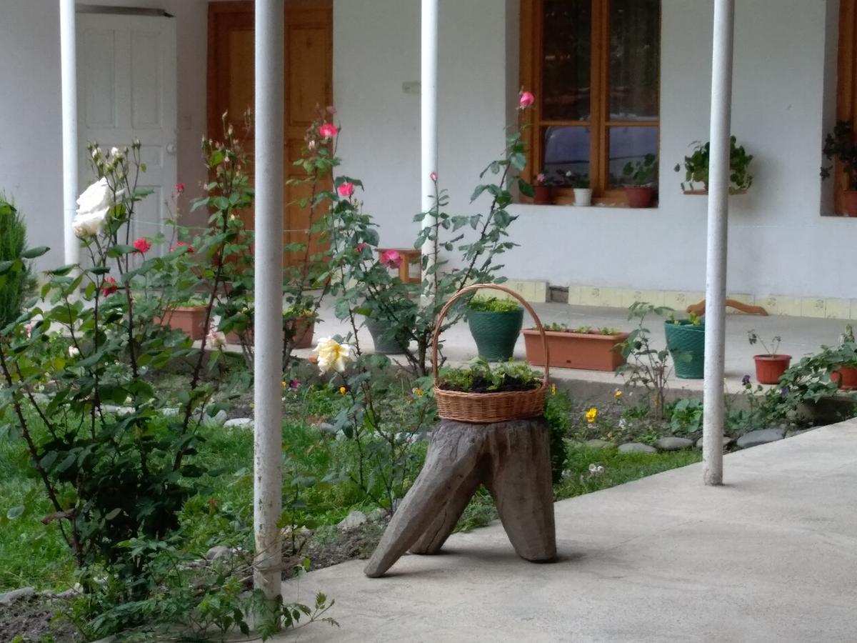 Guest House Anisa Birkiani Exteriér fotografie